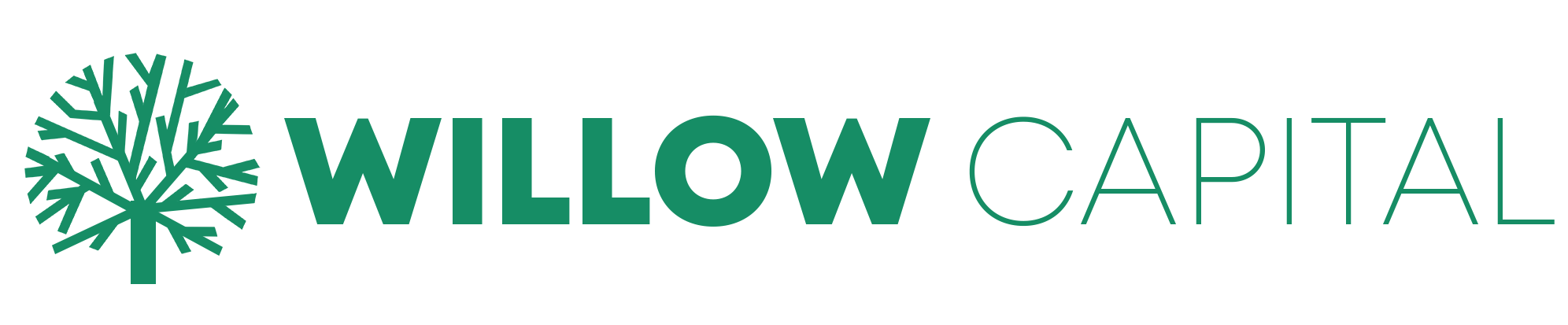 willow capital